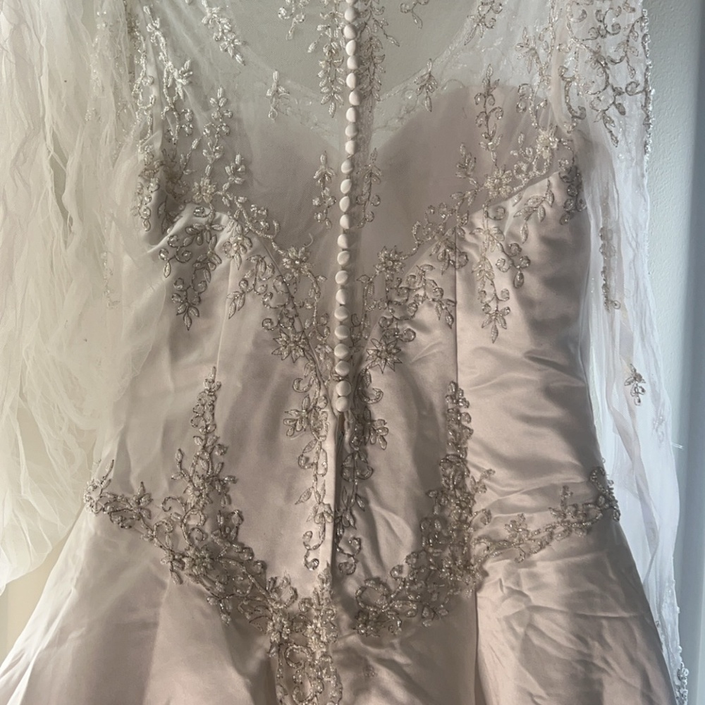 Wedding Gown with veil